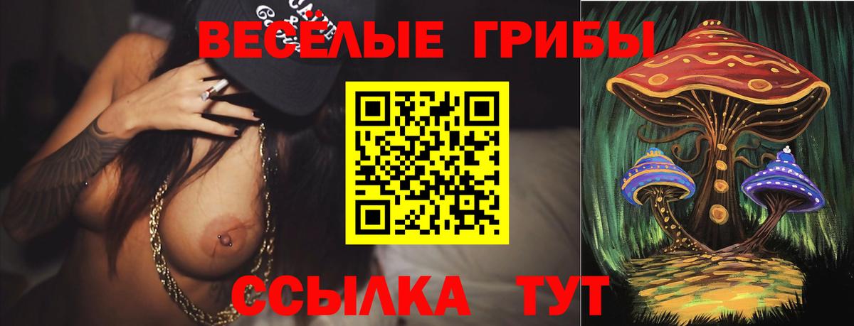 Галлюциногенные грибы прущие грибы  Псилоцибиновые грибы MAGIC MUSHROOMS  Вход с VPN  цена наркотик  Нурлат 