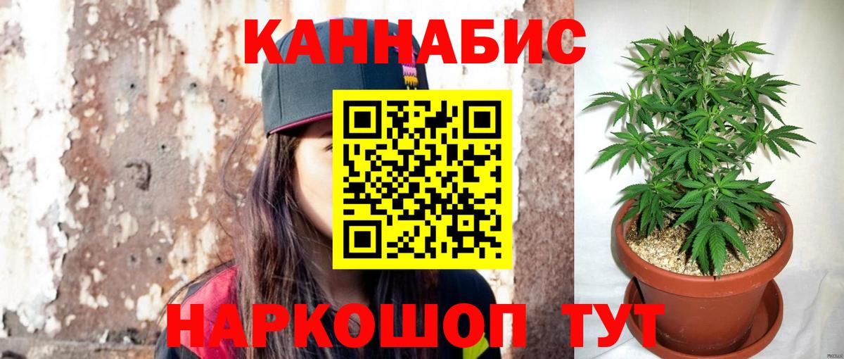 Конопля OG Kush Нурлат
